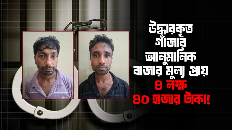 সবজির ভেতরে গাঁজা পাচার: র‍্যাবের জালে আটক দুই গাঁজা ব্যবসায়ী