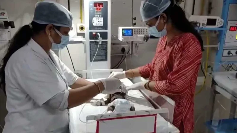 ভারতে জীবন্ত মাটিচাপা দেওয়া ২০ দিনের এক কন্যাশিশুকে উদ্ধার করে হাসপাতালে নেওয়া হয়েছে