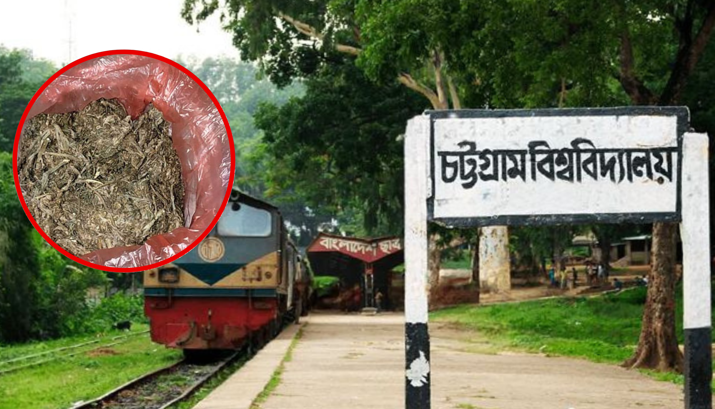 চট্টগ্রাম বিশ্ববিদ্যালয়ে গাঁজাসহ আটক ৫, বিতর্কিত শিক্ষার্থী সানিলা জামিল জয়ীও তালিকায়