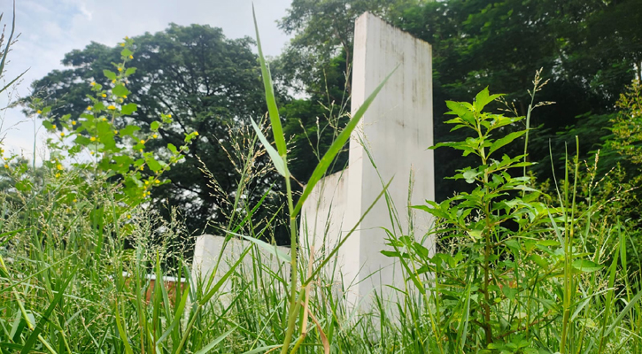 মাদকসেবী আর আগাছায় ঘেরা শহীদ মিনার, ক্ষোভ সংস্কৃতিকর্মীদের