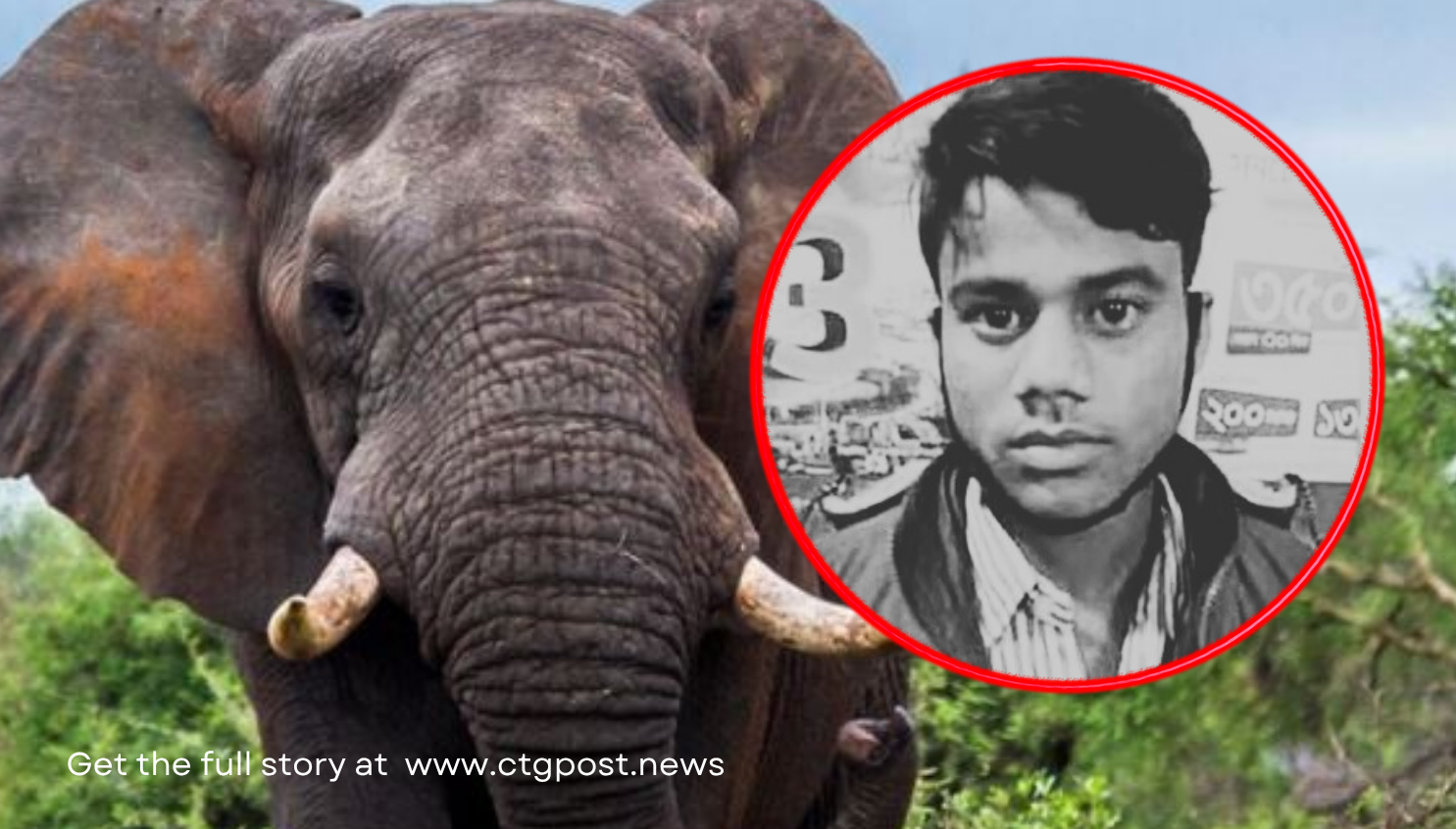 সাতকানিয়ায় বন্য হাতির আক্রমণে তরুণের মৃত্যু