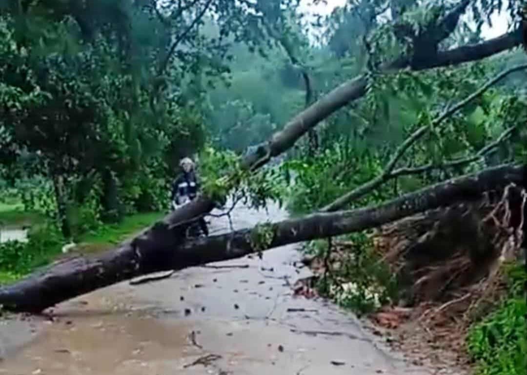 রাঙ্গুনিয়ায় তীব্র ঝড়ে ধসে পড়েছে ৫টি ঘর, উপড়ে পড়েছে গাছ, বিধ্বস্ত হয়েছে সড়ক 