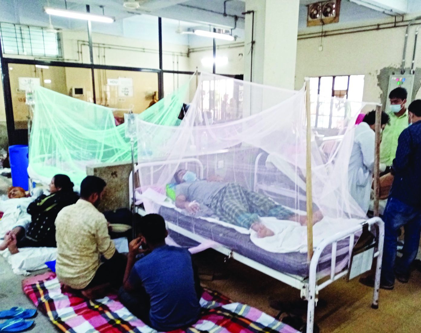 ডেঙ্গু আক্রান্তের সংখ্যা বাড়ছেই