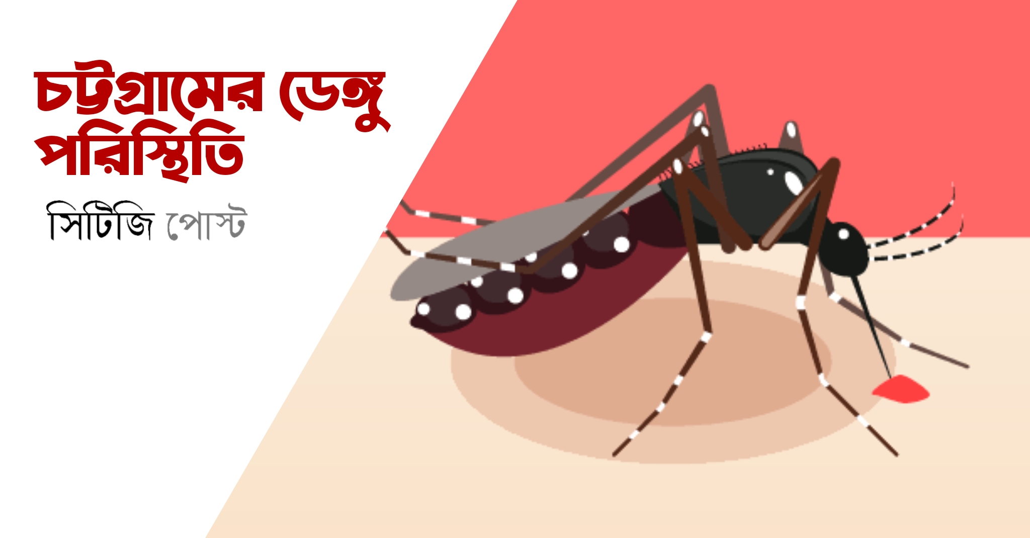 করোনা শূন্যতে, ডেঙ্গুতে মৃত্যু একজন চট্টগ্রামে, ডায়েরিয়া পরিস্থিতি স্বাভাবিক