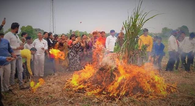 ভারতে পেঁয়াজের অতিরিক্ত ফলন নিয়ে বিপাকে পড়েছেন কৃষকরা, পুড়িয়ে ফেলা হচ্ছে পেঁয়াজ