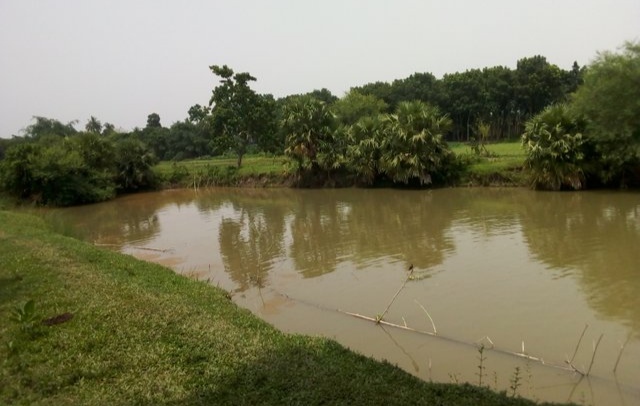 পুকুরে ডুবে দুই শিশুর মৃত্যু