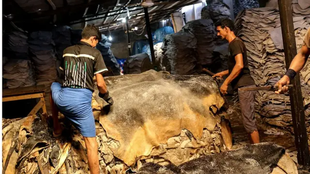 সাড়ে ৩ লাখ চামড়া সংগ্রহের টার্গেট চট্টগ্রামে
