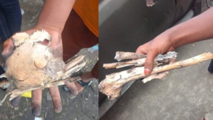 ধানমন্ডিতে শেখ মুজিবের বাড়ি থেকে পাওয়া গেছে ‘হাড়গোড়’ : সিআইডি