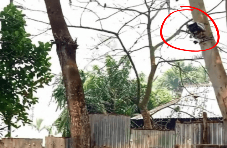 সীমান্তে ভারতীয় বিএসএফ’র সিসি ক্যামেরা স্থাপন, বিজিবি’র প্রতিবাদ