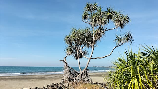 পর্যটকশূন্য সেন্টমার্টিন : প্রকৃতি ফিরছে তার আসল রূপে