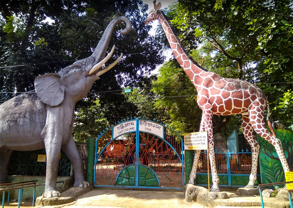চট্টগ্রাম চিড়িয়াখানায় নির্মাণাধীন দেয়াল ধসে আহত ৫ শ্রমিক