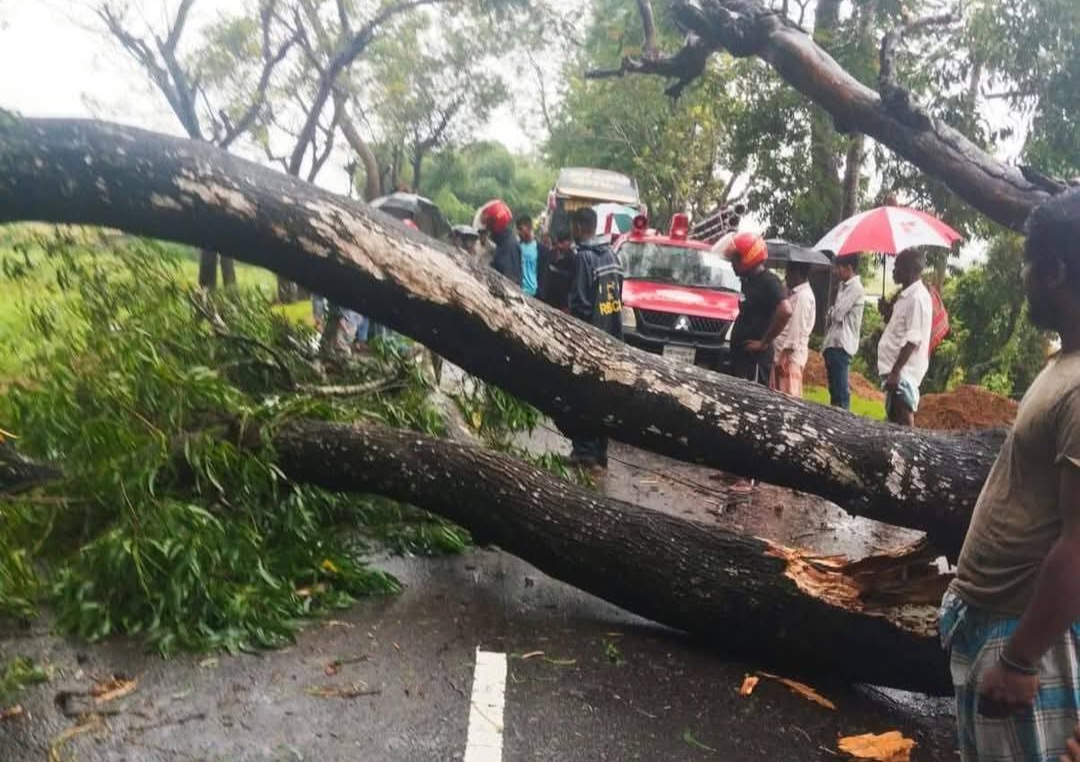 চট্টগ্রামে অতি ভারী বৃষ্টিপাত ও ঝড়ো হাওয়ায় গাছপালা উপড়ে যান চলাচলে ব্যাঘাত
