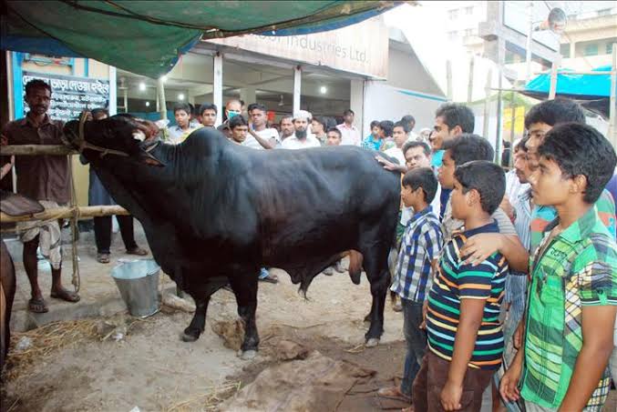 বাংলাদেশে ৭ জুন শনিবার উদযাপিত হবে পবিত্র ঈদুল আজহা
