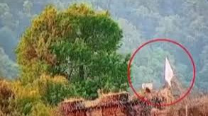 ‘সাদা পতাকা উড়িয়ে’ পাকিস্তানের কাছে পরাজয় স্বীকার করেছে ভারত!