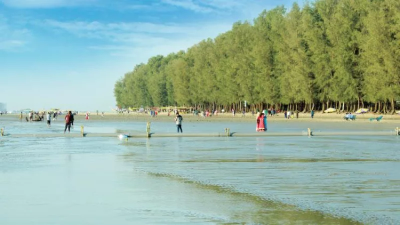 পতেঙ্গা-পারকি সৈকতকে পর্যটন হাব গড়ার পরিকল্পনা: ট্যুরিজম বোর্ডের কনসালটেশন সভা