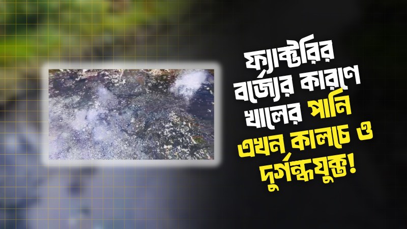 পটিয়ায় ফুলকলি ফ্যাক্টরির দূষণে অতিষ্ঠ স্থানীয়রা