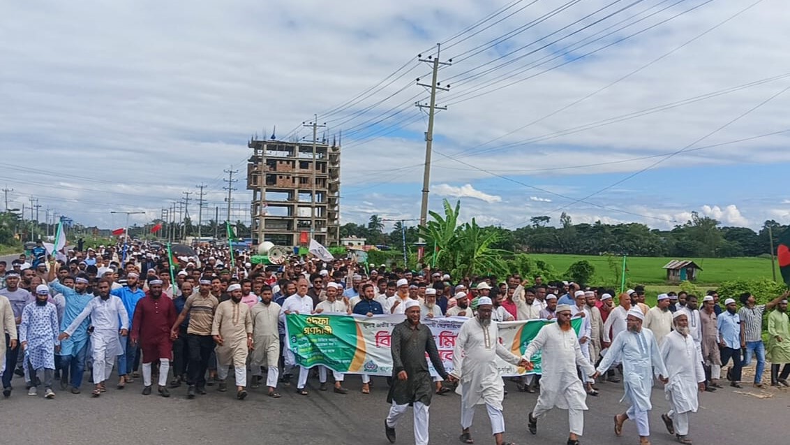 জামায়াতে ইসলামী দেশ বিরোধী রাজনীতি করেনা: অধ্যাপক মাহমুদুল হাসান